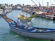 Joute des pêcheurs dans  le port de Saint-Raphael