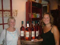 Wine tasting at well known Provençal vineyards like Chateau Saint-Martin