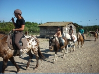 Ranch Equestre \