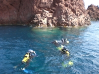 Diving just off the coast at Port Santa Lucia